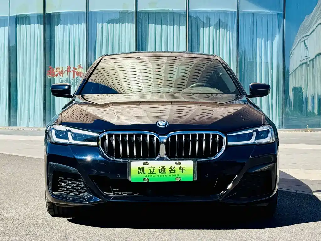 BMW 5 Series New Energy — миниатюра 2