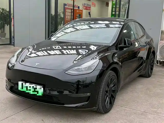 TESLA MODEL Y 2021