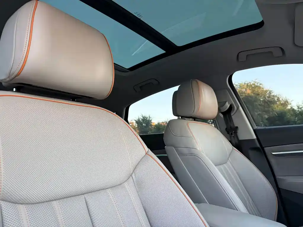 Audi e-tron (Import) — миниатюра 16