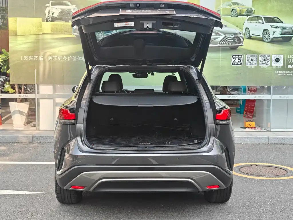 Lexus RX New Energy — миниатюра 9