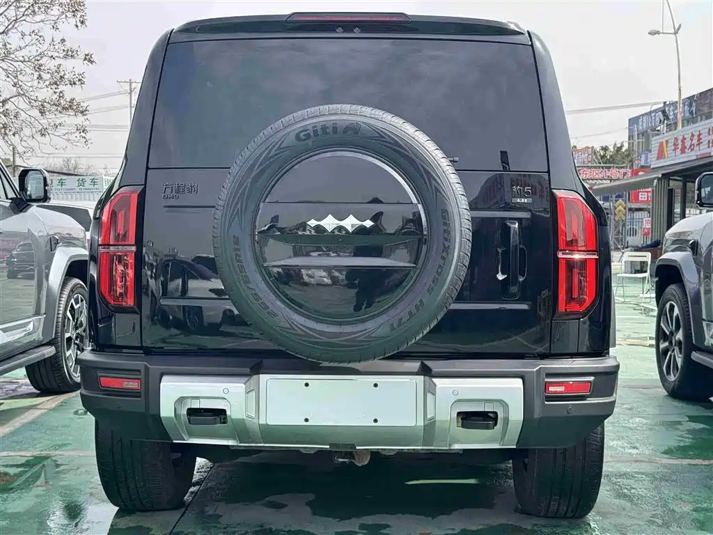 FANG CHENG BAO LEOPARD 5