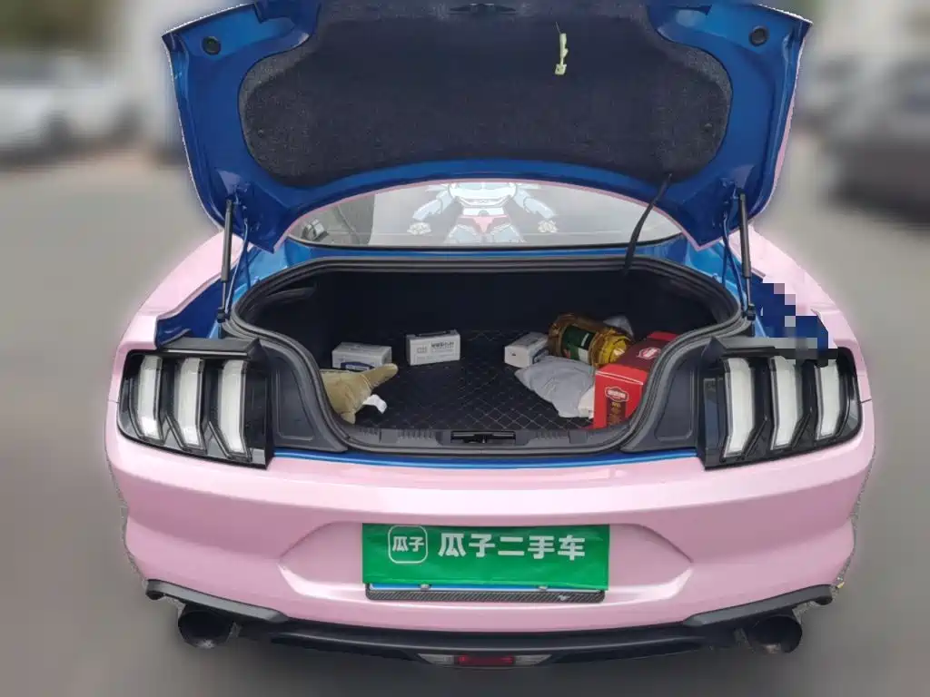Ford Mustang — миниатюра 20