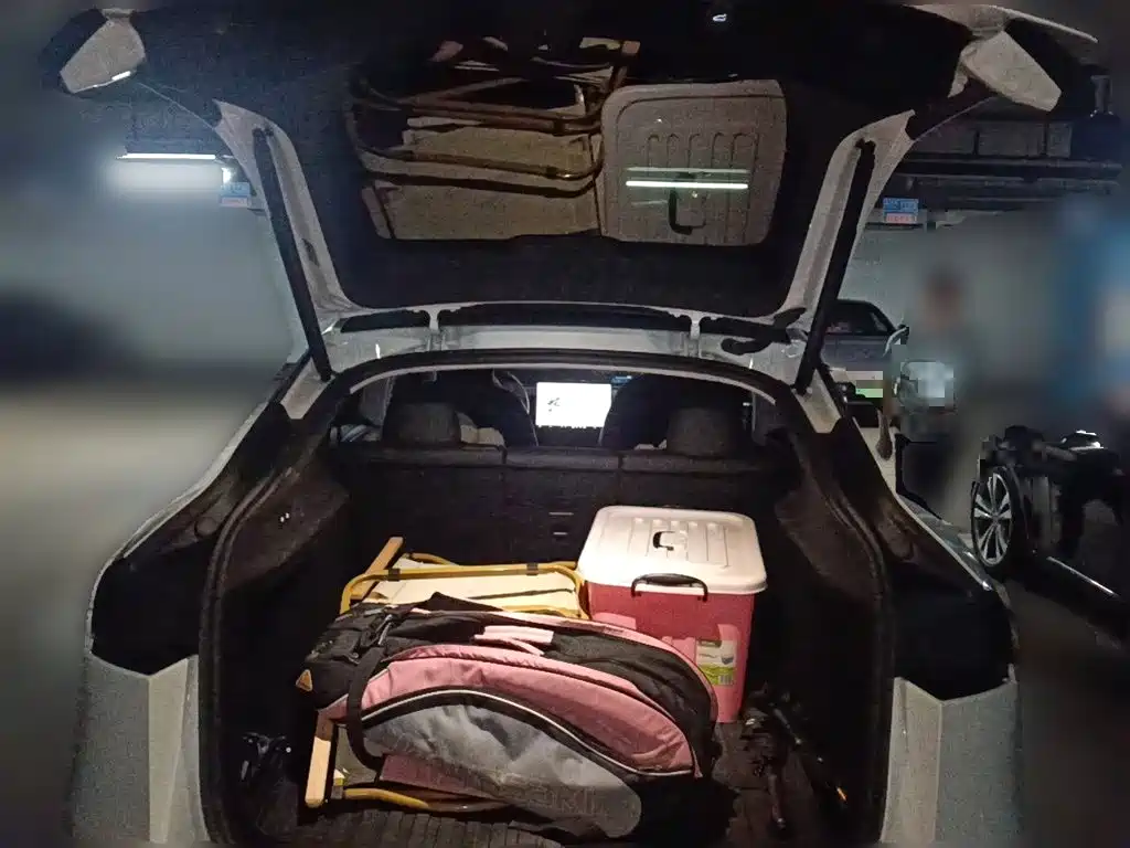 Tesla Model Y — миниатюра 10