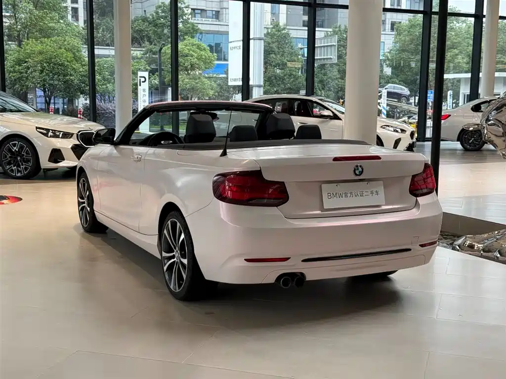 BMW 2 Series (Import) — миниатюра 9
