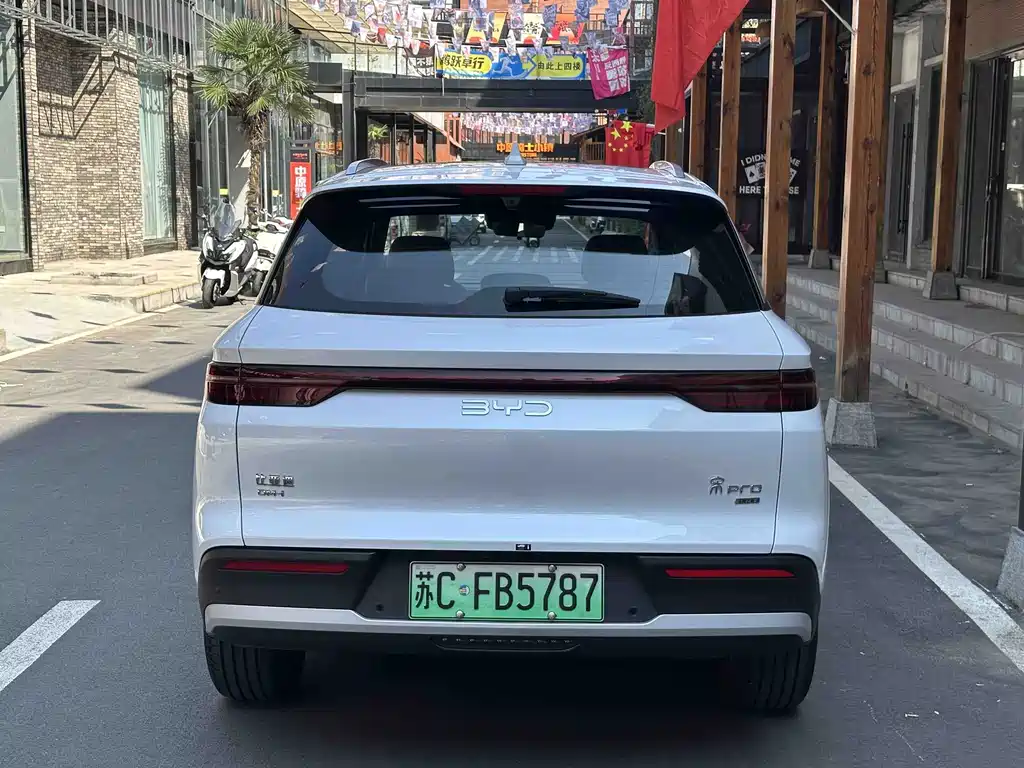 BYD Pro New Energy — миниатюра 10