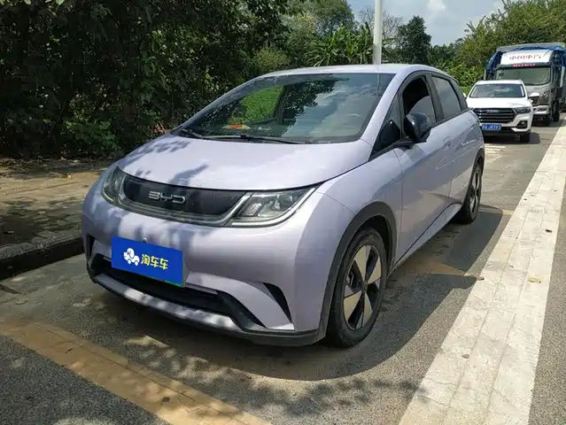 BYD 海豚