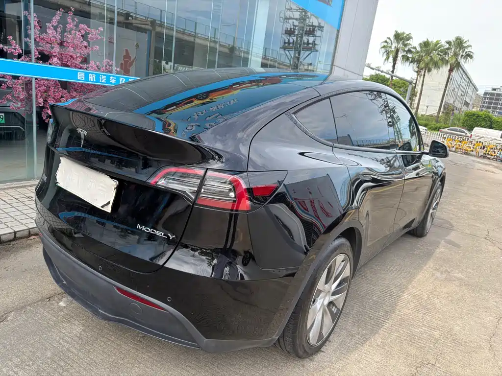 Tesla Model Y — миниатюра 11