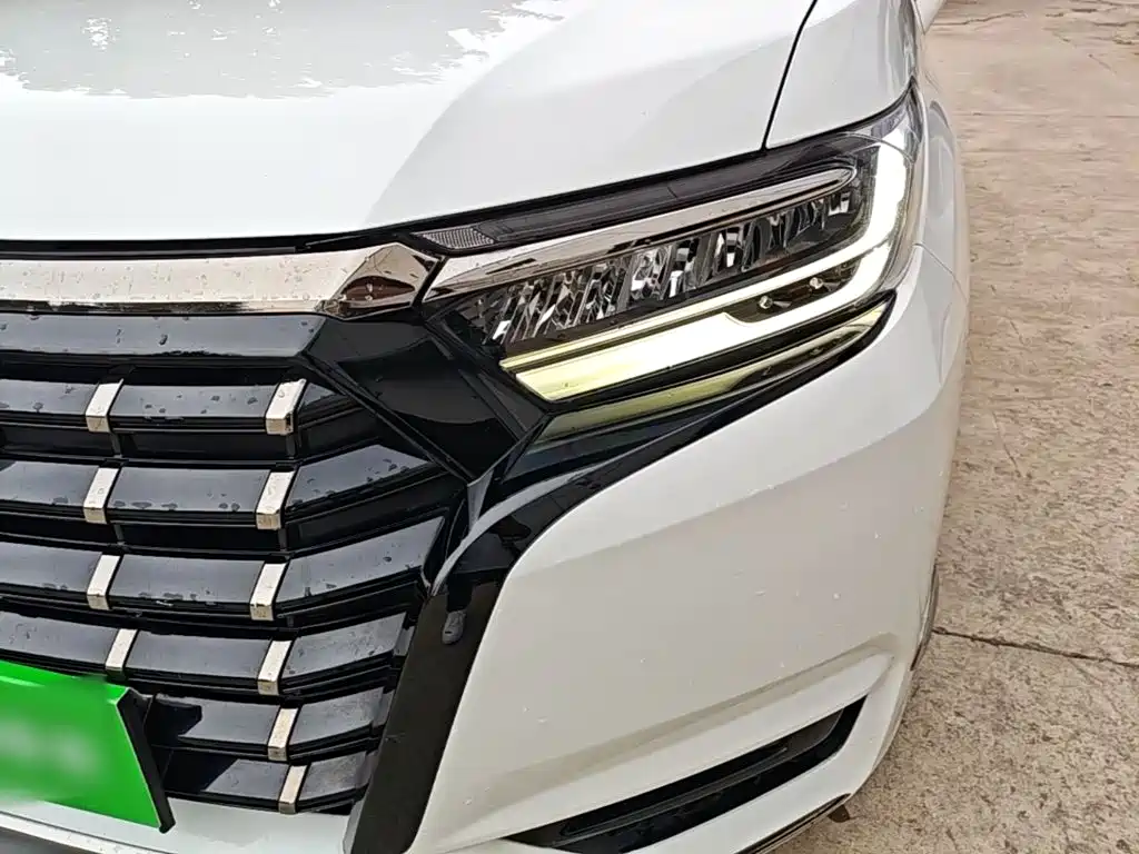 Honda Elysion — миниатюра 24