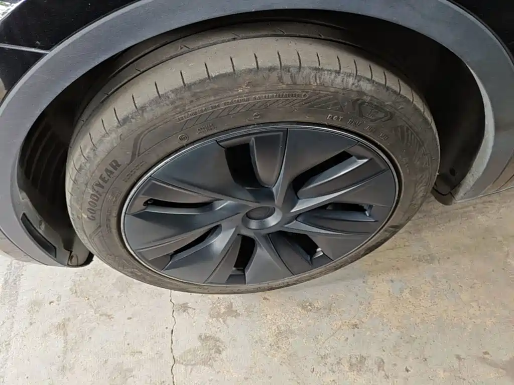 Tesla Model Y — миниатюра 23