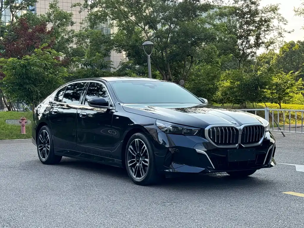 BMW 5 Series 5 2024 530Li Lead Luxury
