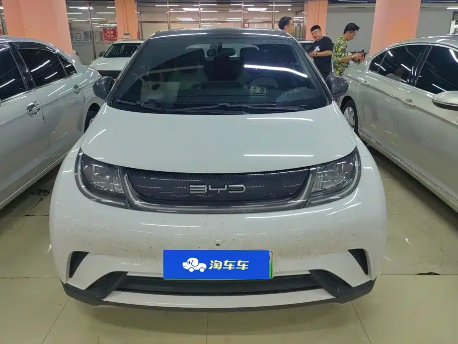 BYD Dolphin — миниатюра 2