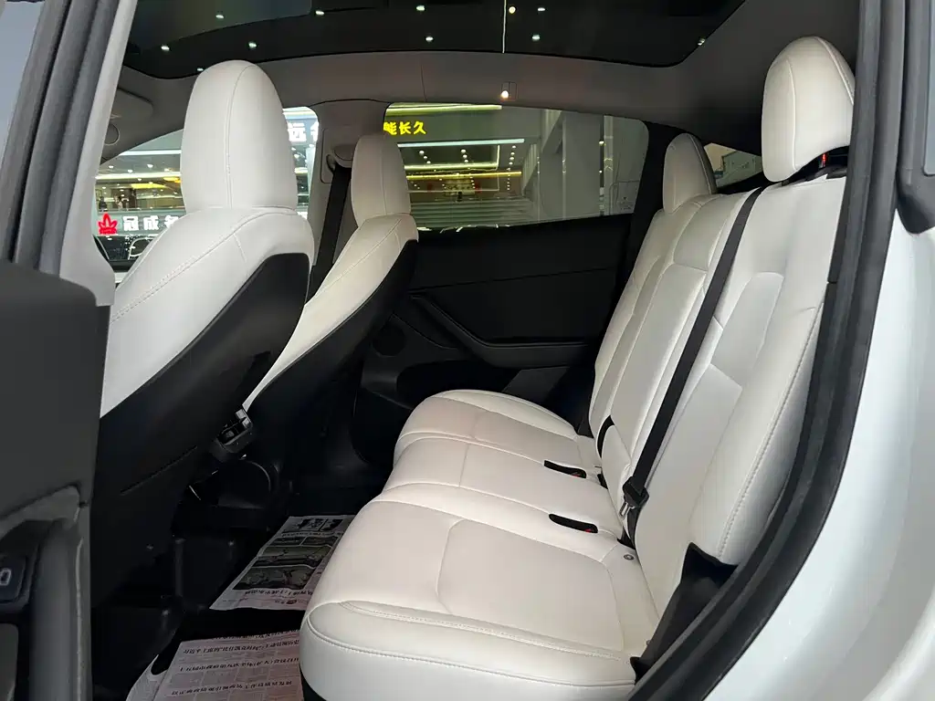 Tesla Model Y — миниатюра 8