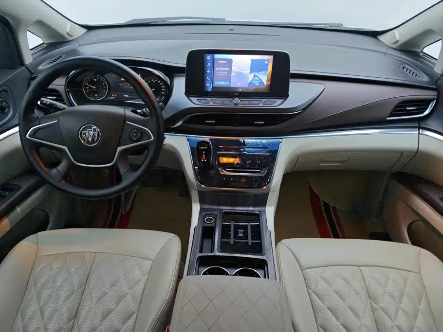 Buick GL8 — миниатюра 12