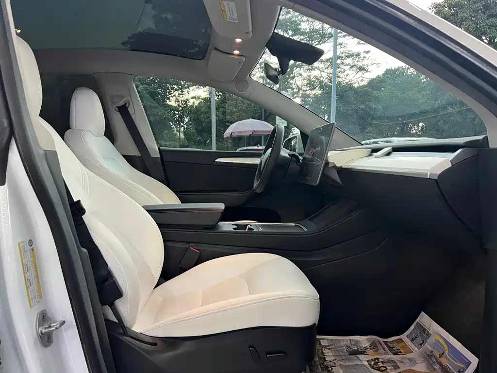 Tesla Model Y — миниатюра 10