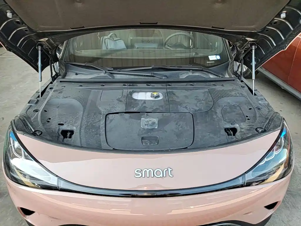 smart Smart #1 — миниатюра 16