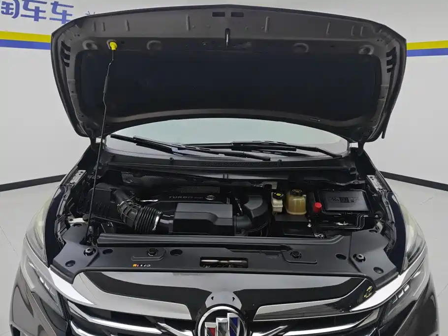 Buick GL8 — миниатюра 10