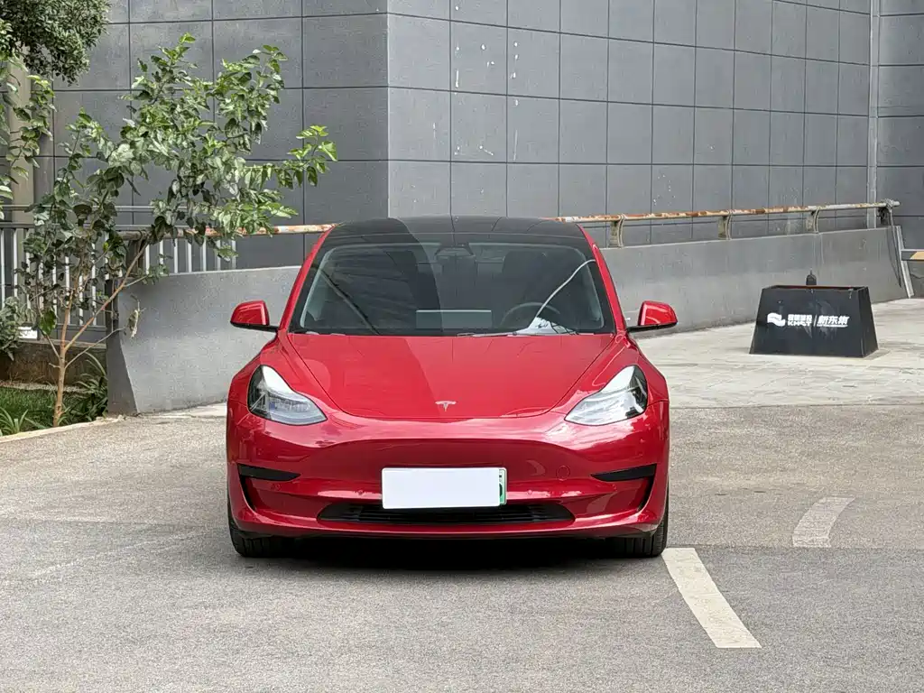 Tesla Model 3 — миниатюра 2