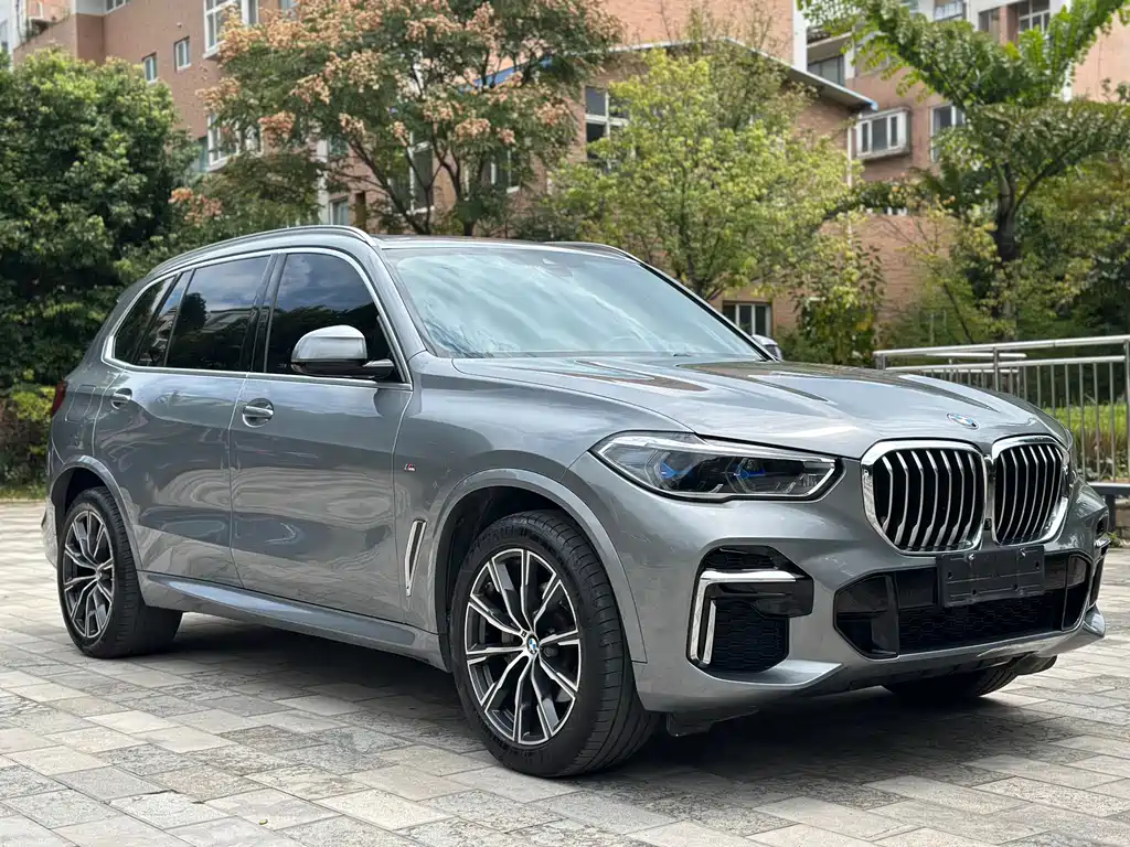 BMW X5 — миниатюра 3