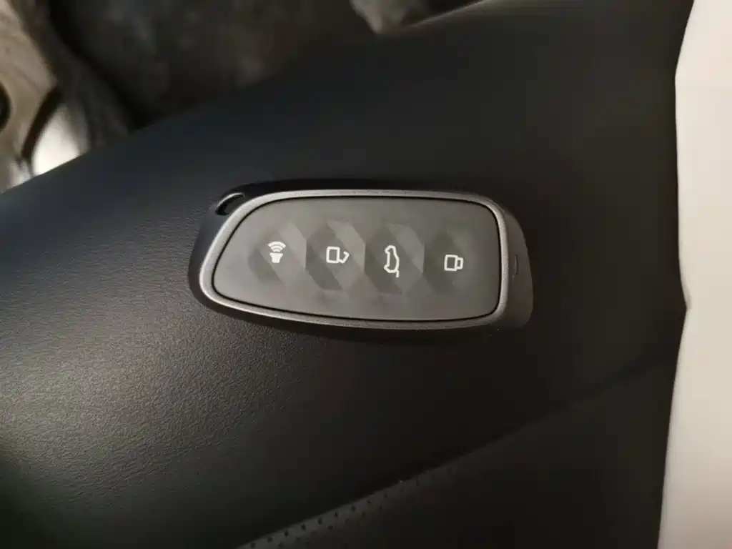 Haval Плюс новая энергия. — миниатюра 9
