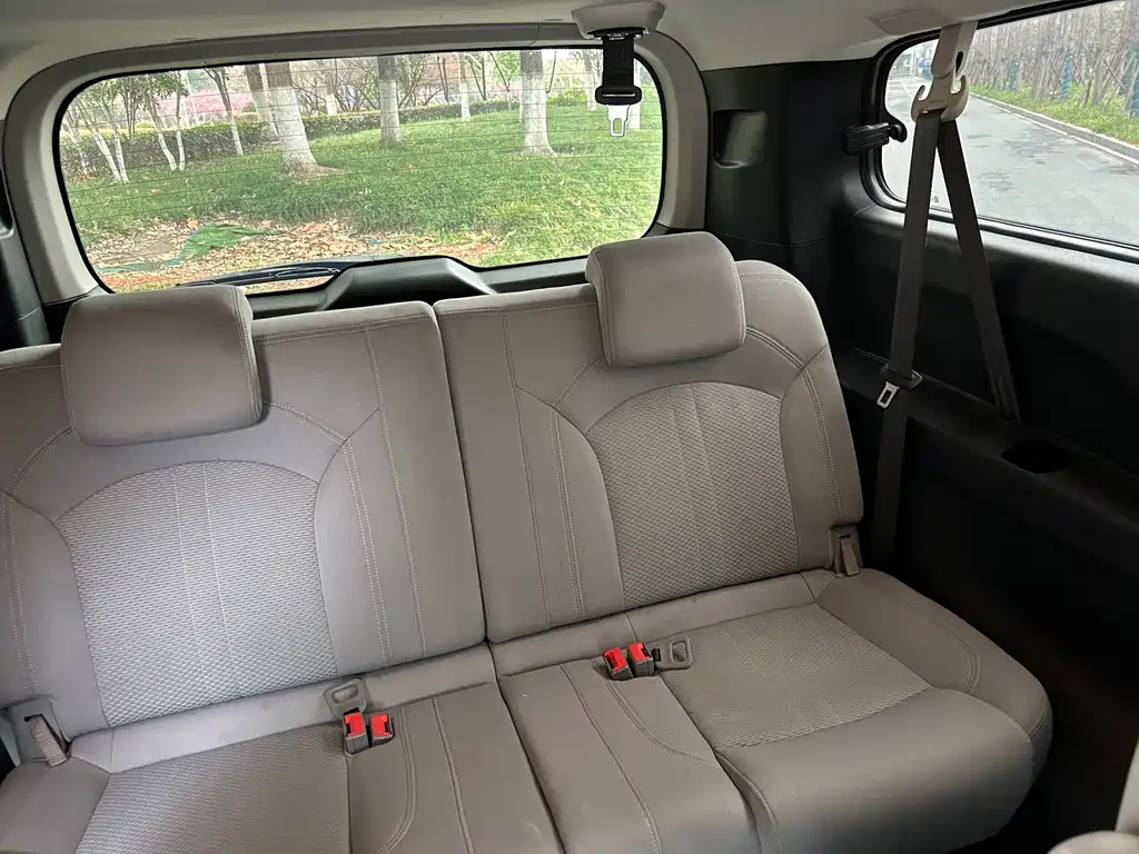 SAIC MAXUS CHASE G10