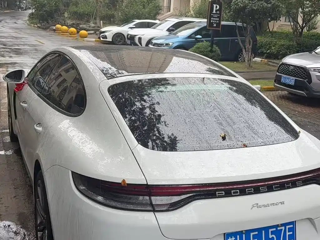 Porsche Panamera — миниатюра 2
