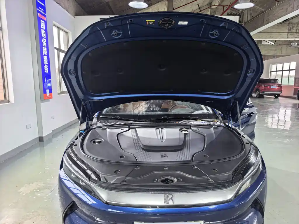 BYD Han — миниатюра 6