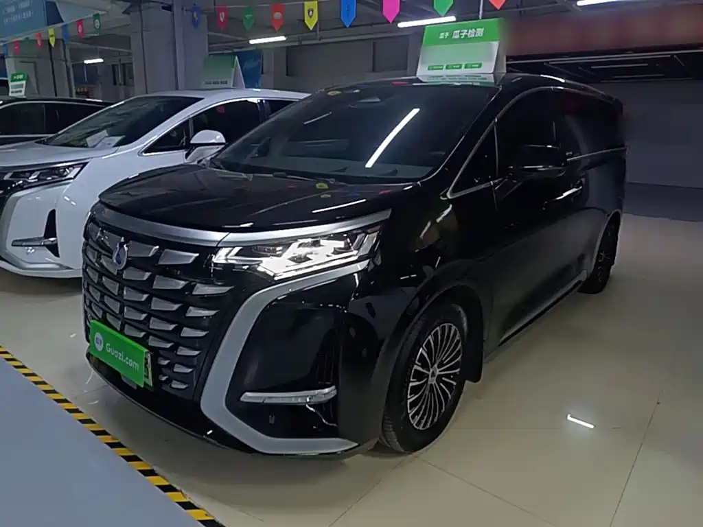 Denza Denza D9