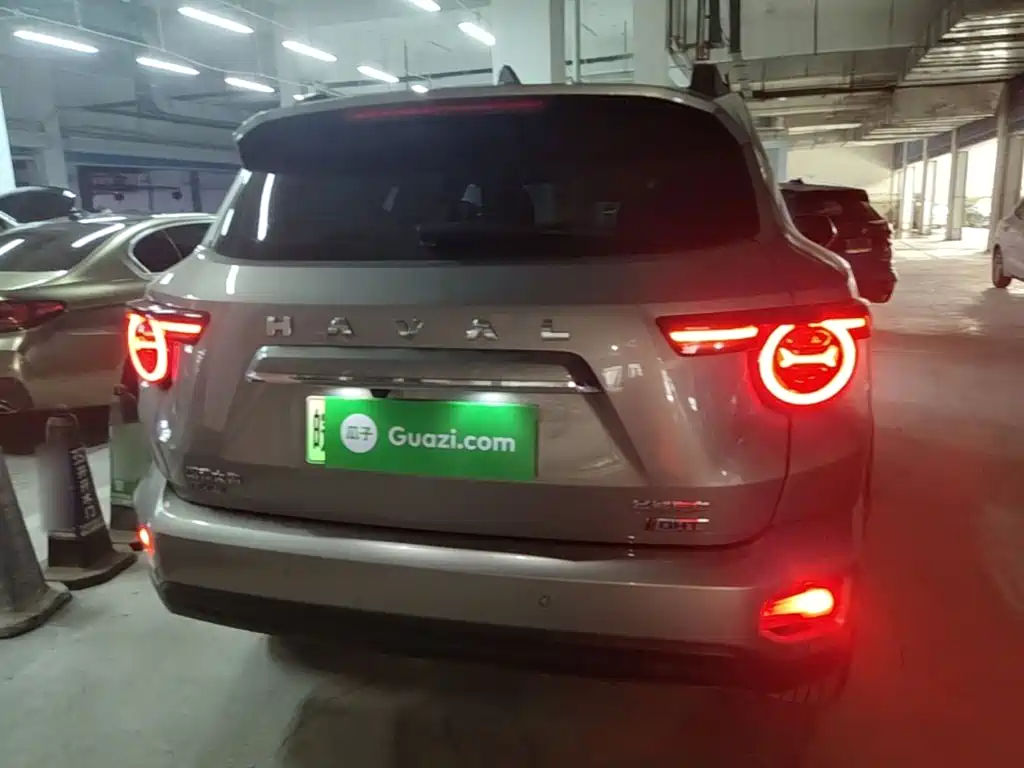 Haval Плюс новая энергия. — миниатюра 6