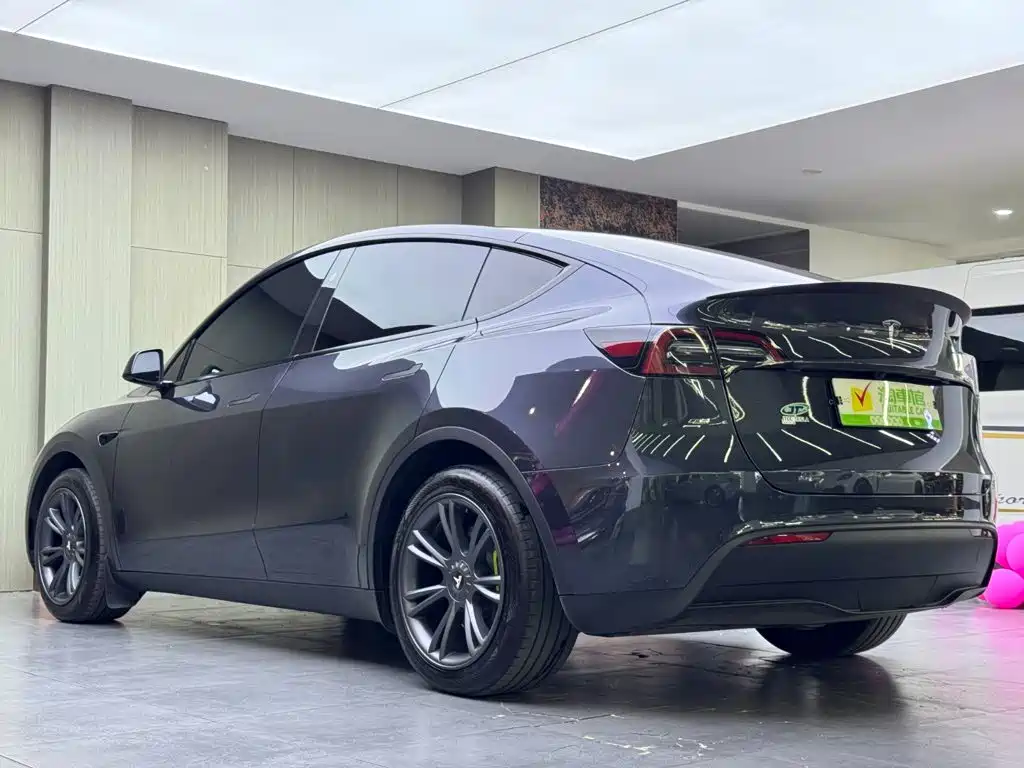 Tesla Model Y — миниатюра 6