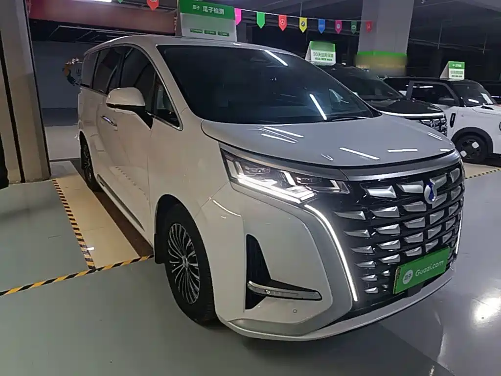 Denza Denza D9 — миниатюра 4