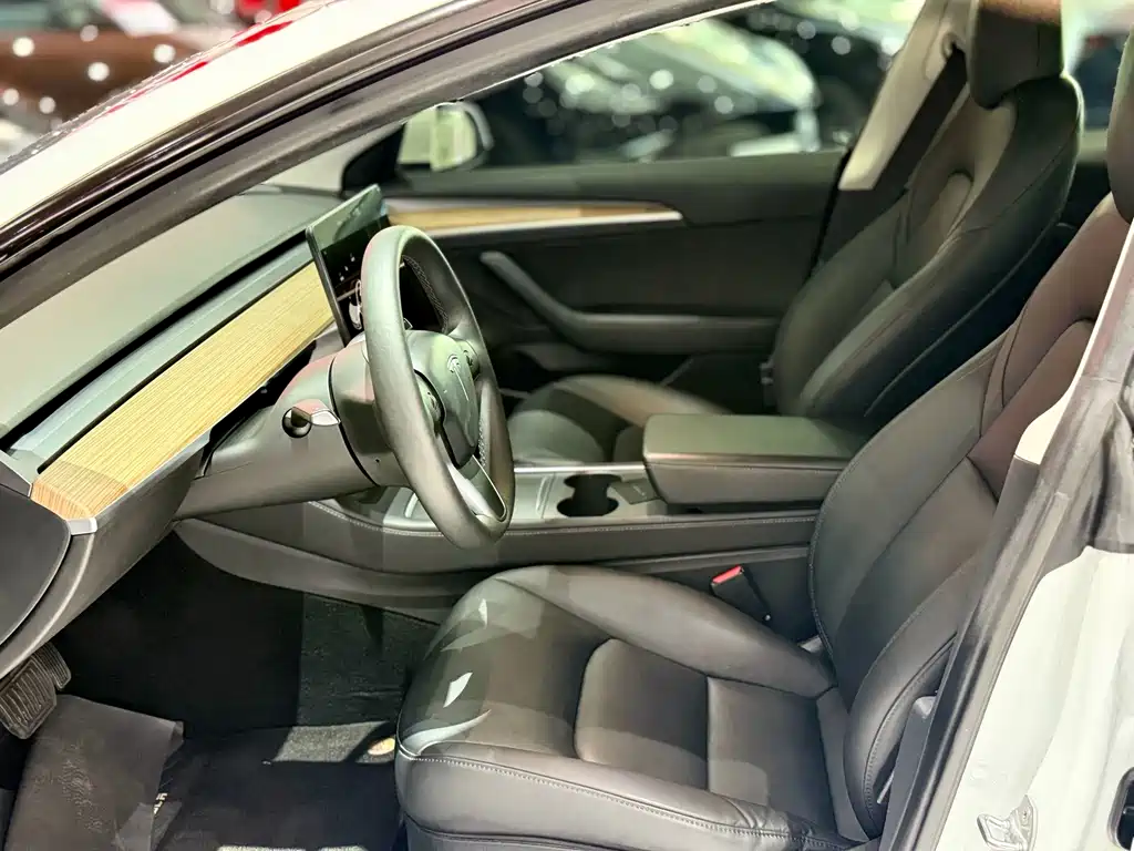 Tesla Model 3 — миниатюра 7