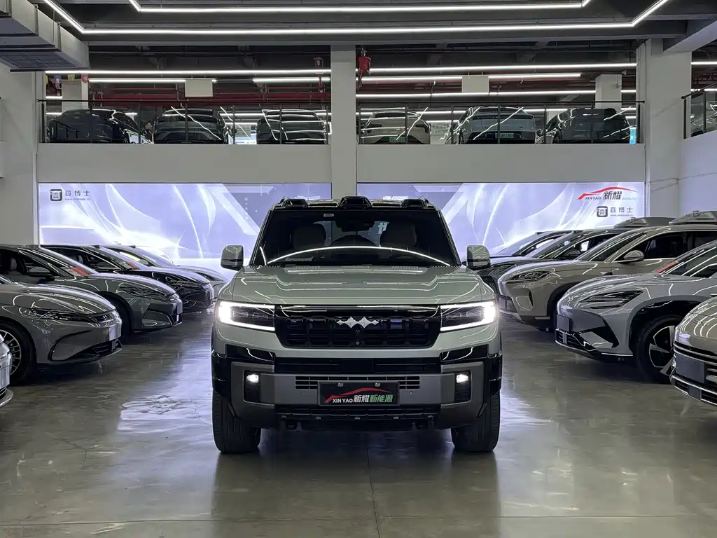 FANG CHENG BAO LEOPARD 8