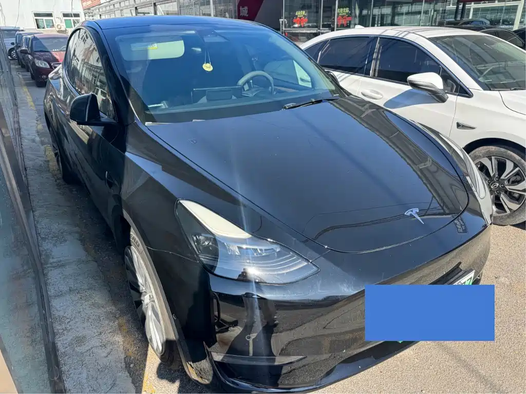 Tesla Model Y — миниатюра 3