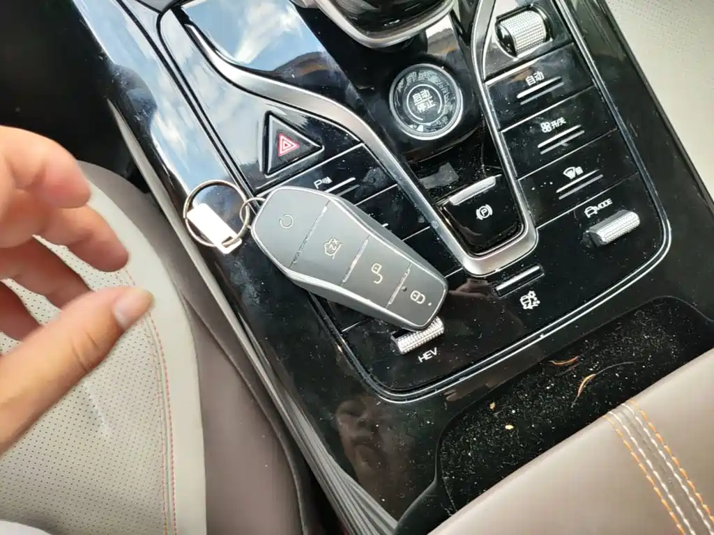 BYD Qin Plus PLUS 2024 DM-i 55KM Lead