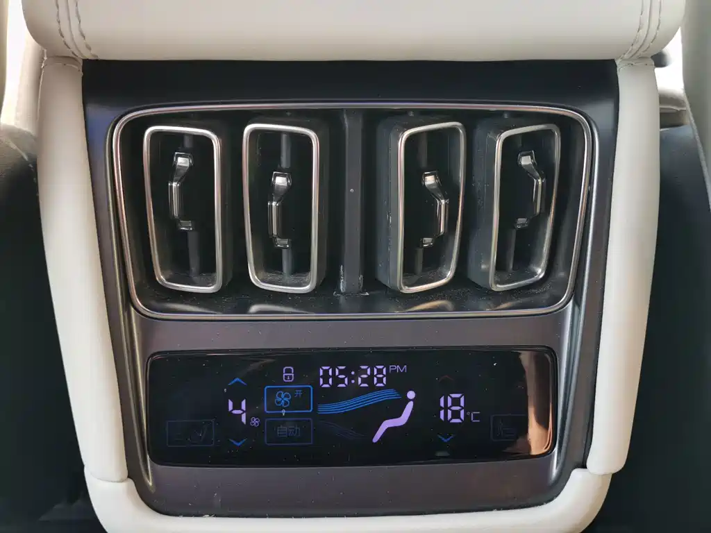 BYD L EV — миниатюра 7