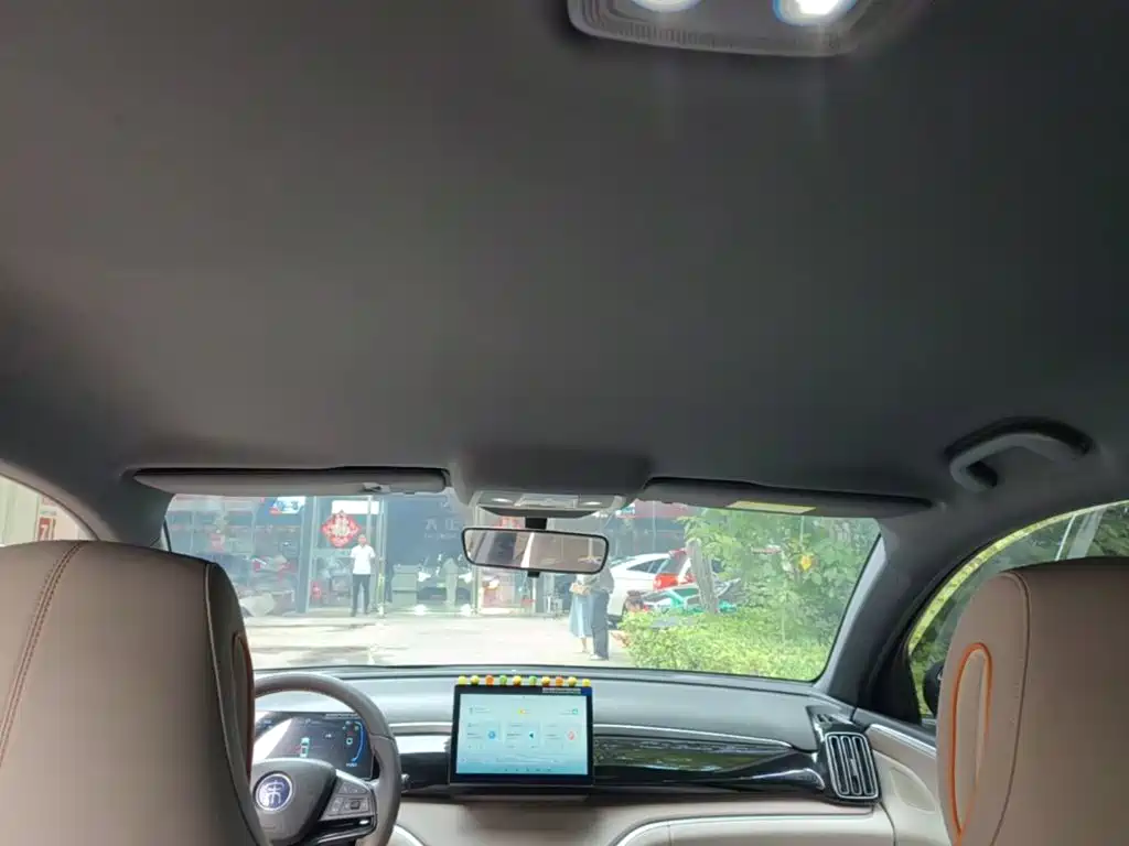 BYD Pro New Energy — миниатюра 18