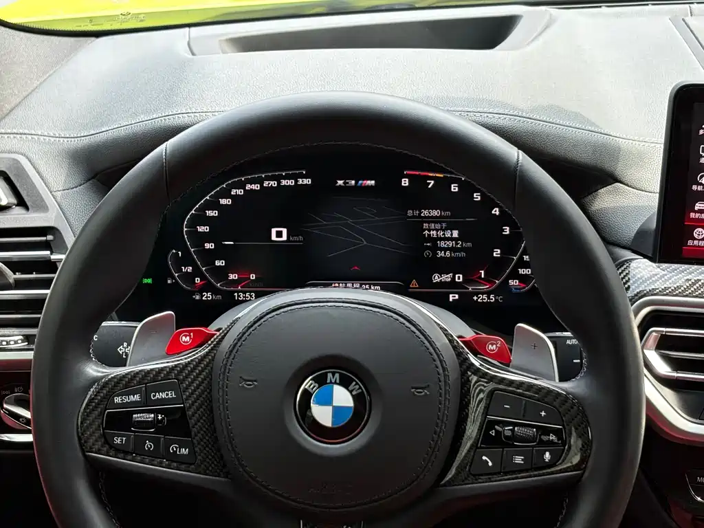 BMW X3 M — миниатюра 10