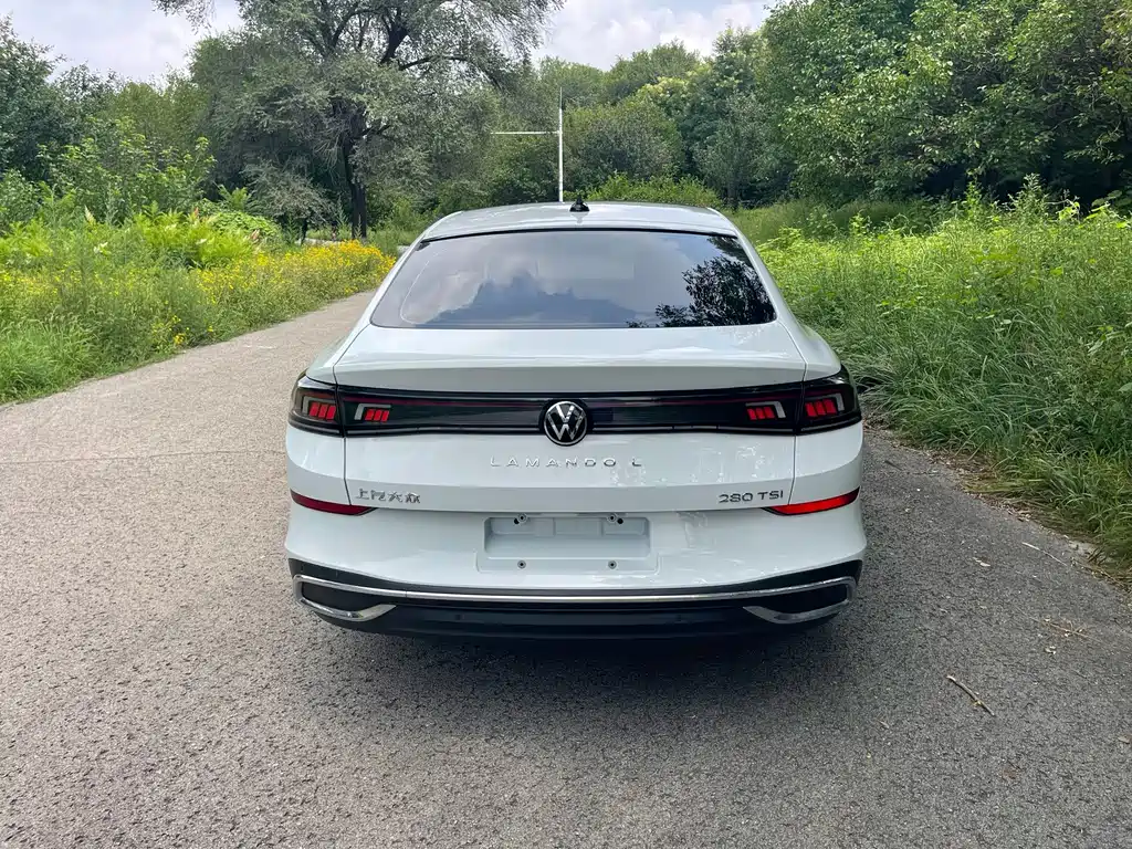 Volkswagen Lamando — миниатюра 14