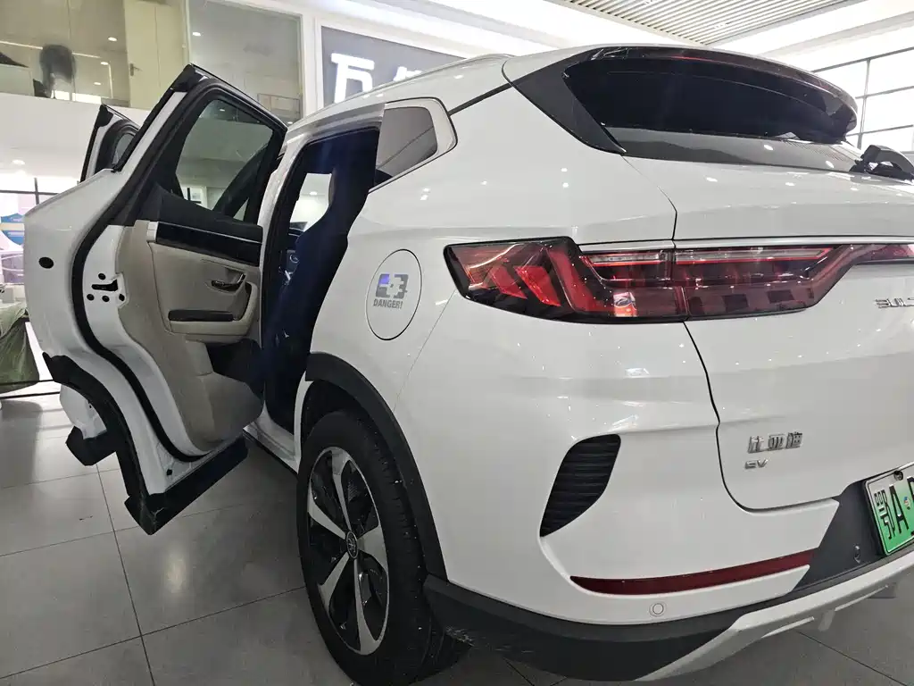 BYD SONGJIANG NEW ENERGY