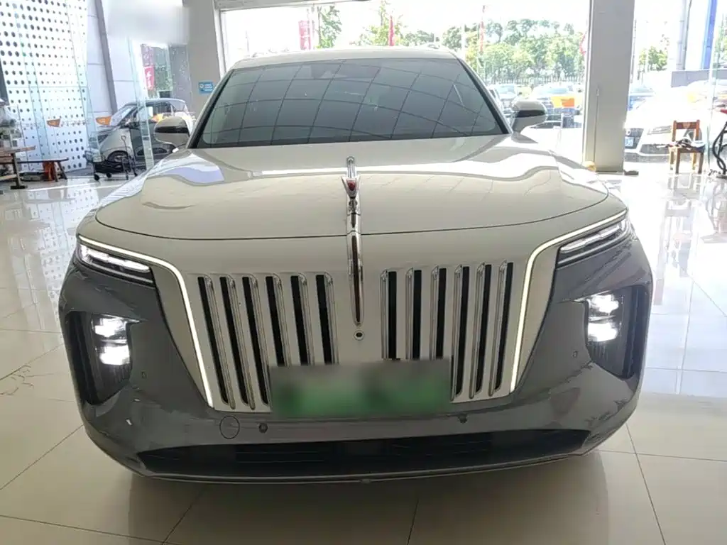 Hongqi Hongqi E-HS9 — миниатюра 3