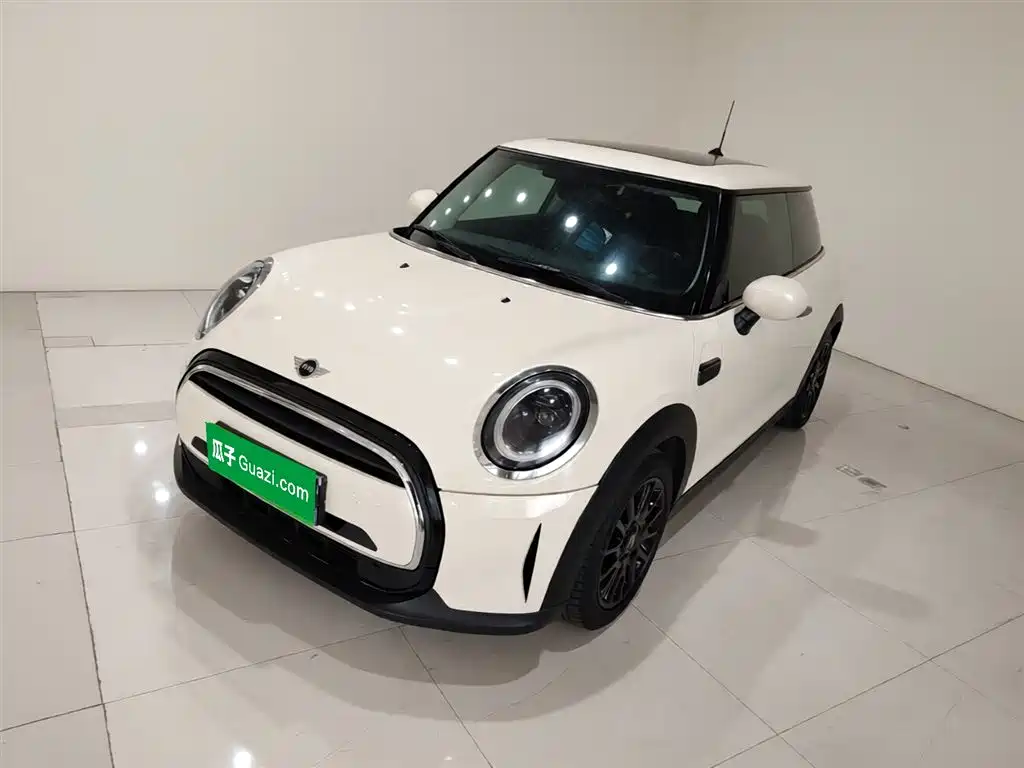 Mini Mini 2022