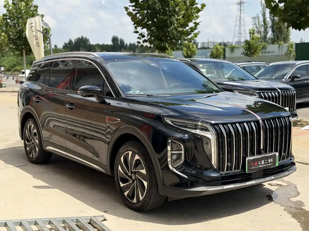 Hongqi Hongqi HS7 PHEV — миниатюра 2