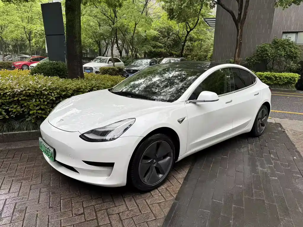 Tesla Model 3 2019