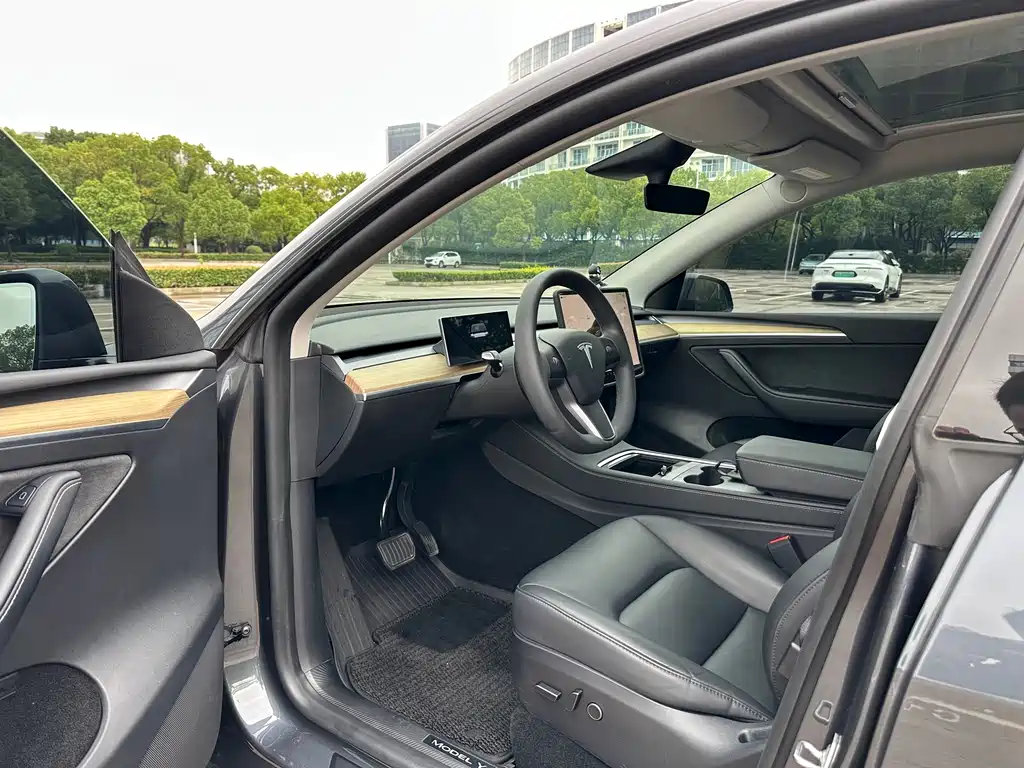 Tesla Model Y — миниатюра 4