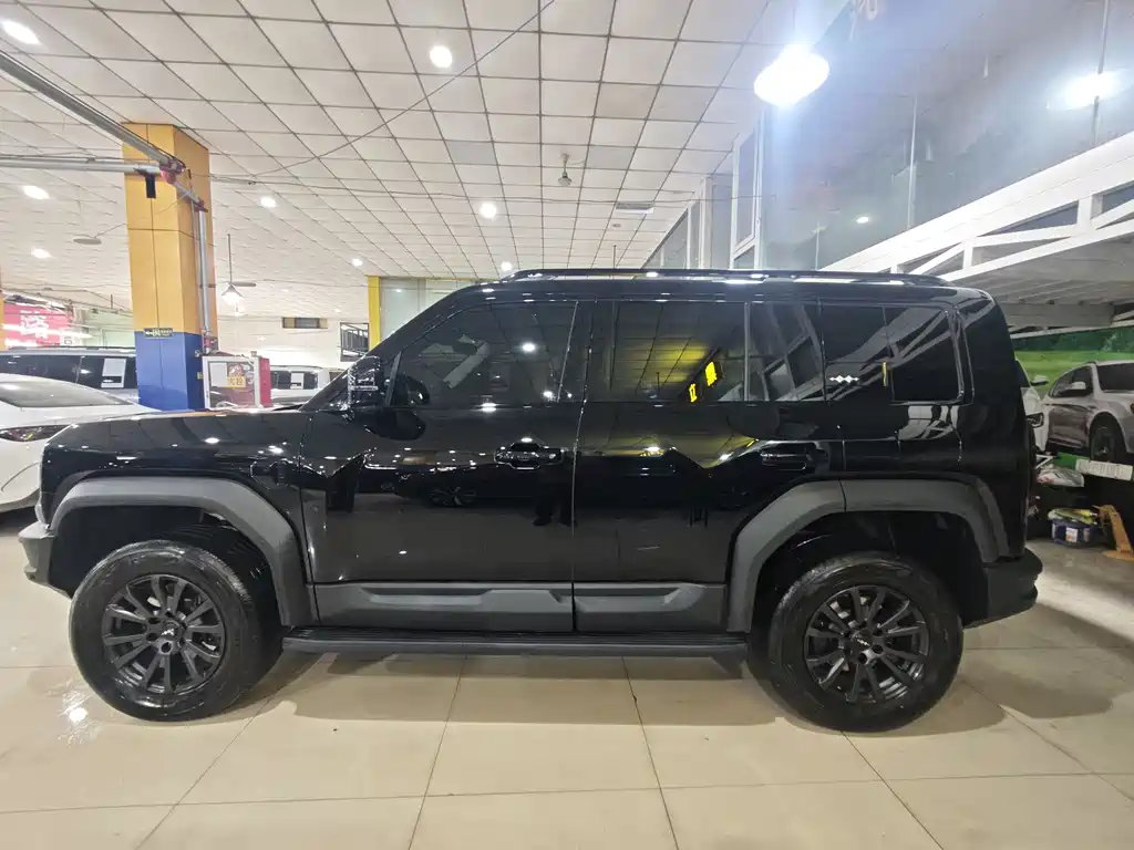 FANG CHENG BAO LEOPARD 5