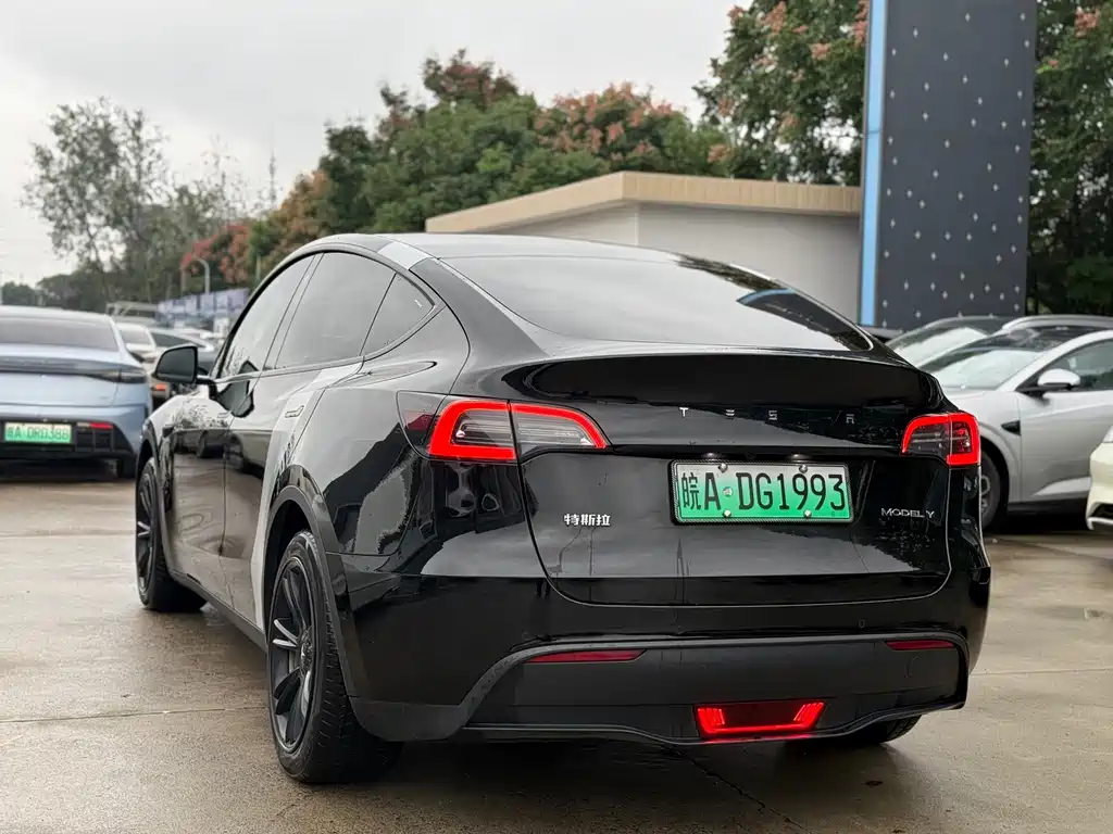 Tesla Model Y — миниатюра 9
