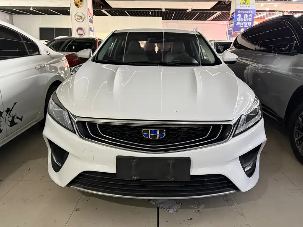 GEELY AUTOMOBILE BINRUI