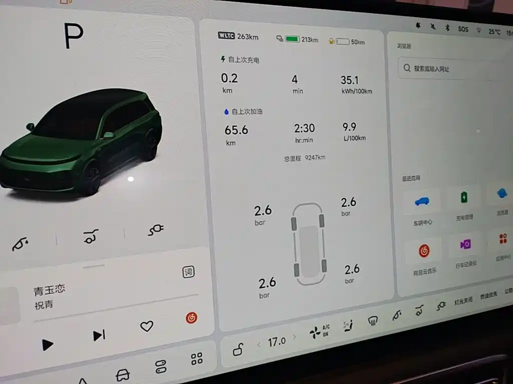 Li Auto Li L9 — миниатюра 12