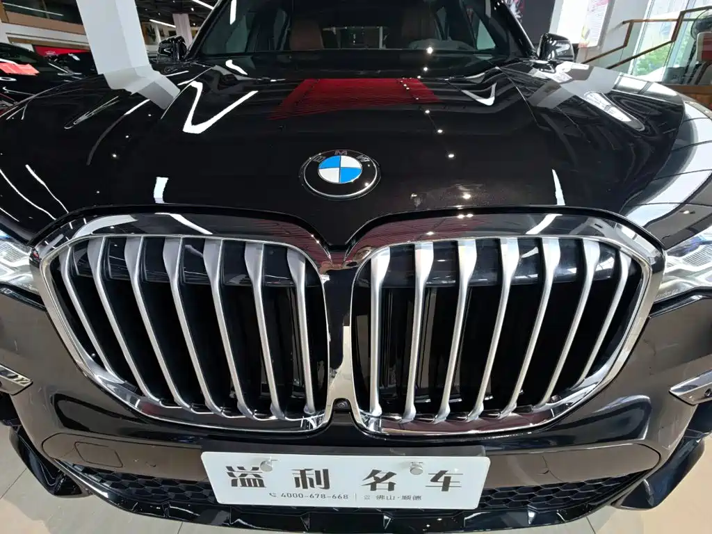 BMW X7 — миниатюра 7