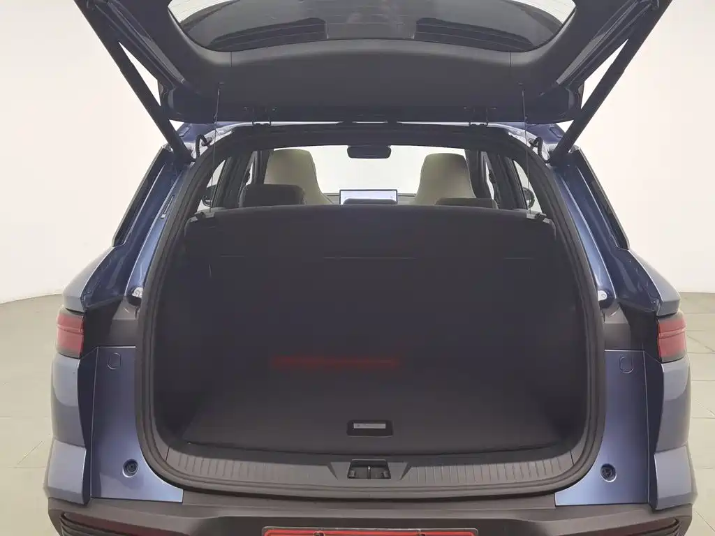BYD Pro New Energy — миниатюра 16